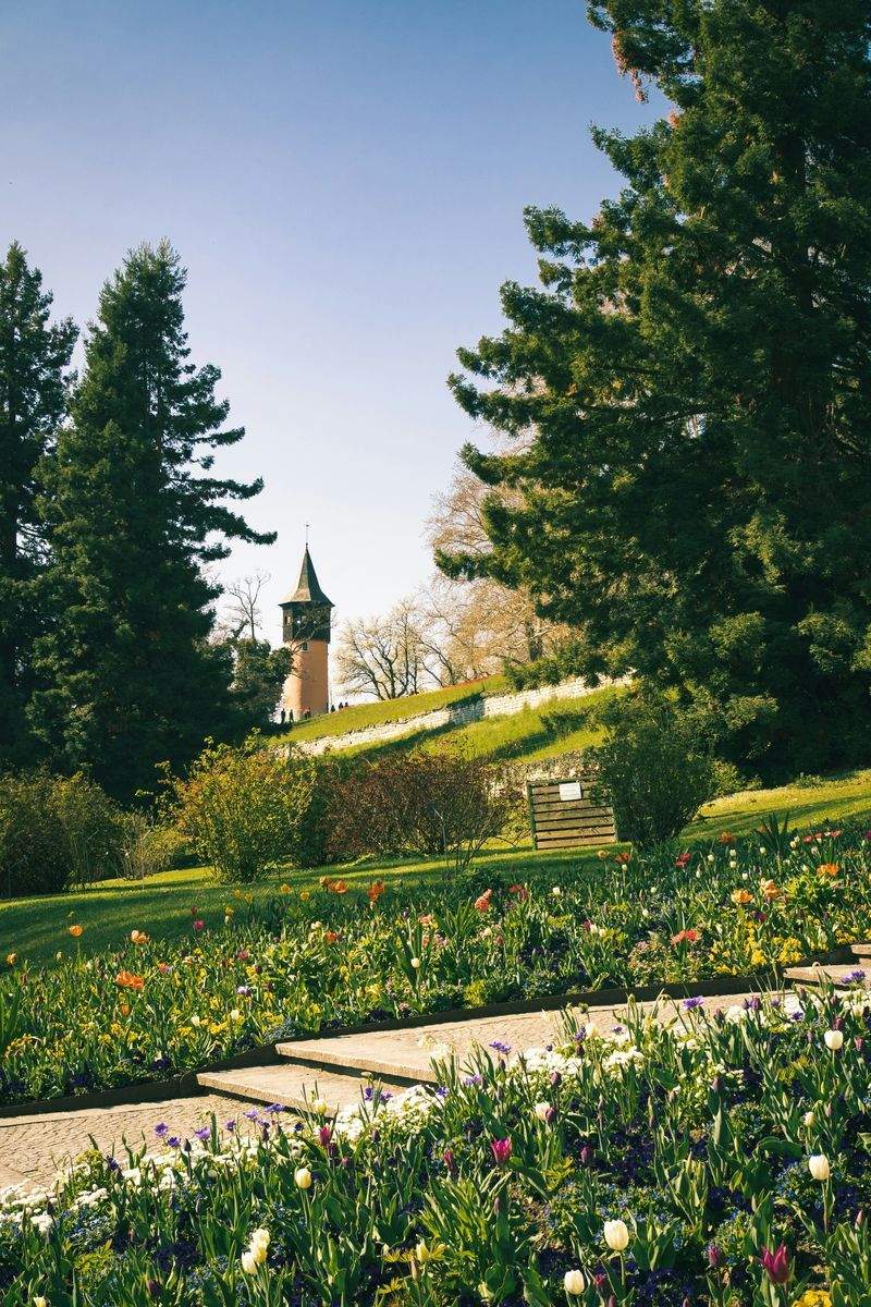 Seasonal planting and flower bed installation